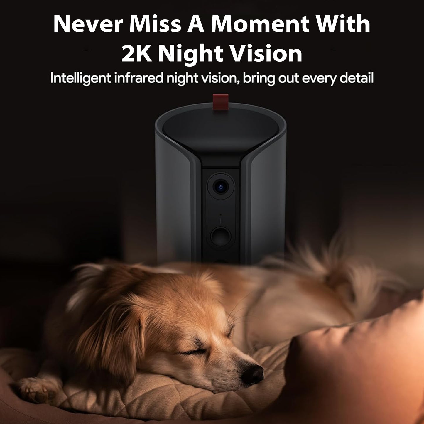 2K Pet Camera with Phone App - 360° View, 5G & 2.4G WiFi Two-Way Audio Dog Camera with Treat Dispenser